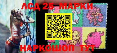 мет Можга