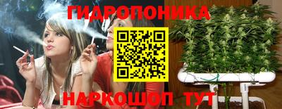 apvp Моздок