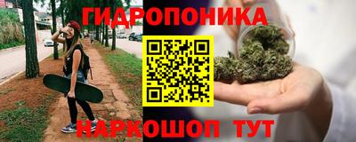 apvp Моздок